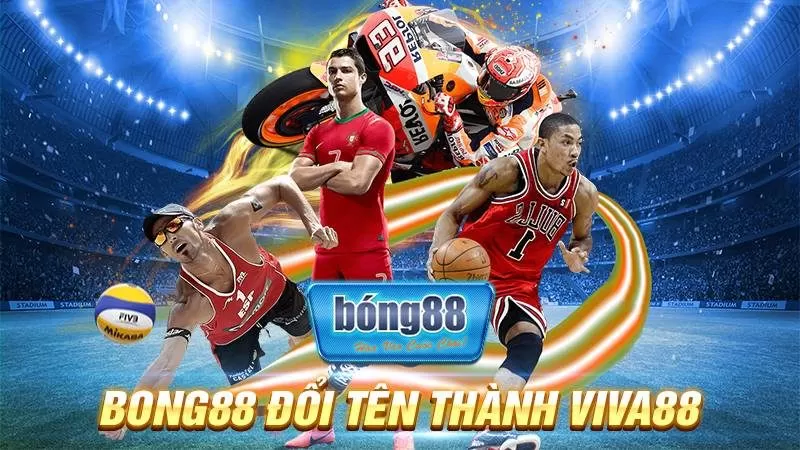 Bong88 đổi tên thành Viva88